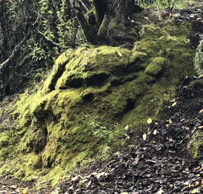 Rencontre avec les esprits gardiens des lieux
