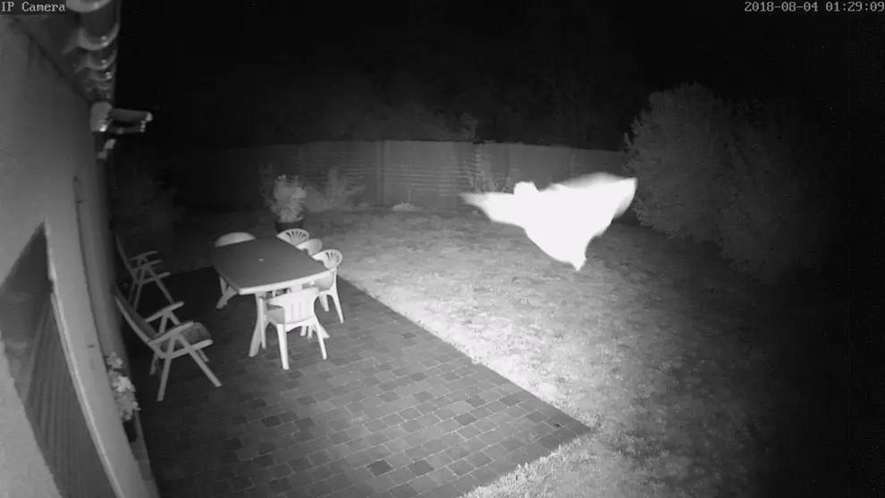 Civilisation 5D | Jannine Deldreve