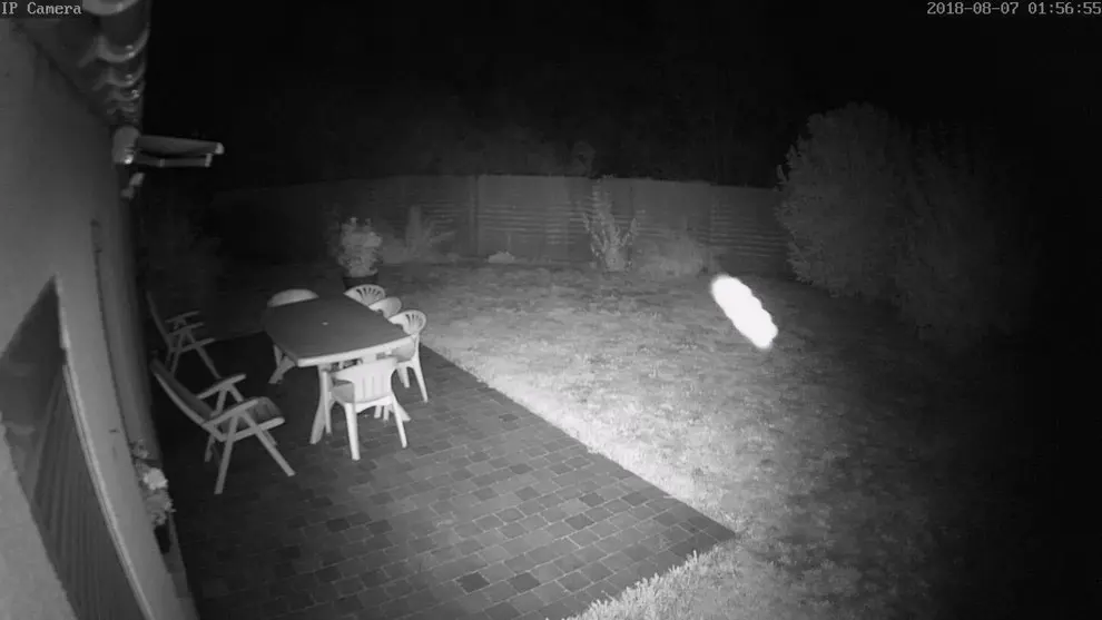 Civilisation 5D | Jannine Deldreve