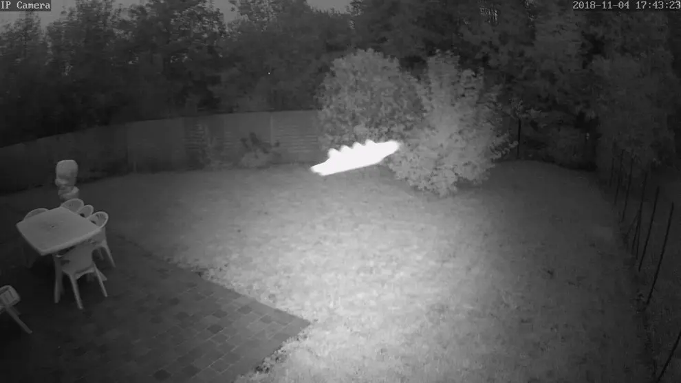 Civilisation 5D | Jannine Deldreve