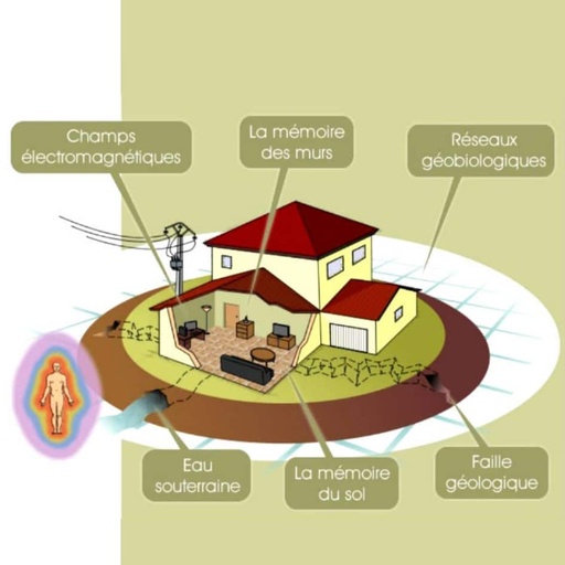 Diagnostic habitat et domicile expertise en géobiologie